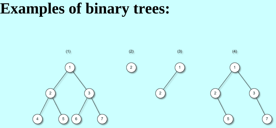 image-20241225095137042